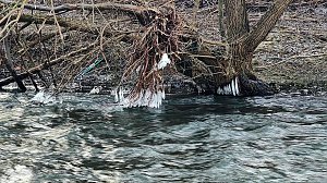 Winter an der Zorge
