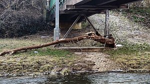 Winter an der Zorge