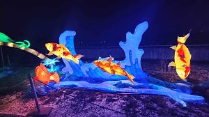 Peter Blei unterwegs in magischen Lichterwelten