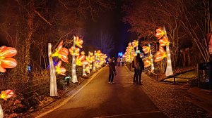Peter Blei unterwegs in magischen Lichterwelten