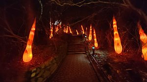 Peter Blei unterwegs in magischen Lichterwelten