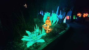 Peter Blei unterwegs in magischen Lichterwelten
