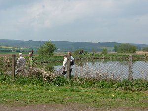 Fischerfest Auleben