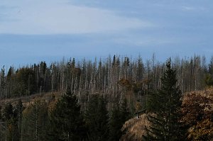 Sonntagswanderung an der Hassel-Vorsperre