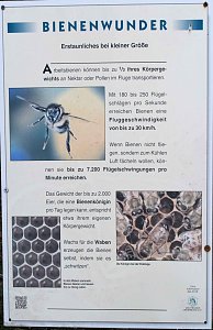 Sonntagswanderung an der Hassel-Vorsperre