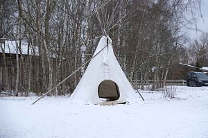 Hundeschlittenrennen im Harz