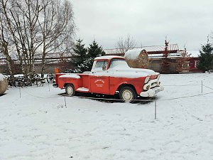 Hundeschlittenrennen im Harz