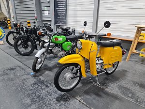 OLDTEMA in Erfurt