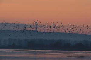 Besuch am Stausee