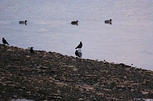 Besuch am Stausee