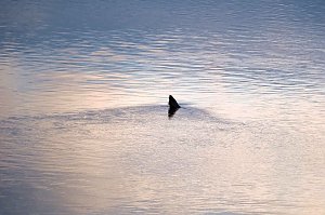 Besuch am Stausee