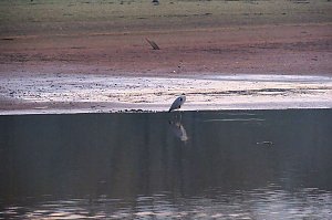Besuch am Stausee