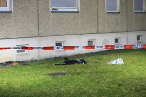 Fenstersturz gestern Abend in Nordhausen