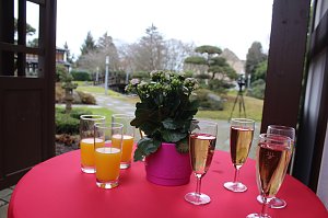Feuchtfr&ouml;hliche Begr&uuml;&szlig;ung im Japanischen Garten