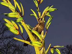 Magische Lichterwelten in Halle
