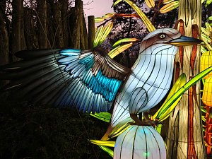 Magische Lichterwelten in Halle