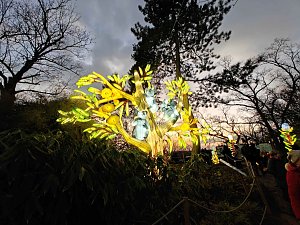 Magische Lichterwelten in Halle