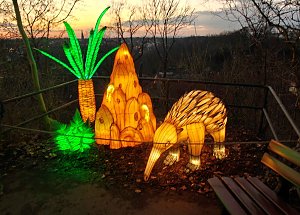Magische Lichterwelten in Halle