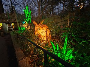 Magische Lichterwelten in Halle