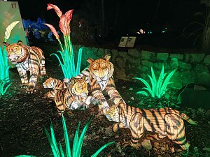 Magische Lichterwelten in Halle