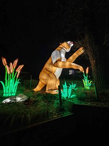 Magische Lichterwelten in Halle