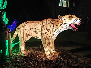 Magische Lichterwelten in Halle