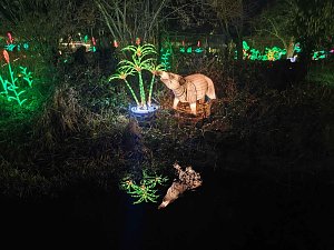 Magische Lichterwelten in Halle