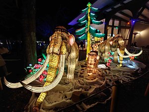 Magische Lichterwelten in Halle