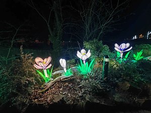 Magische Lichterwelten in Halle