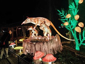 Magische Lichterwelten in Halle