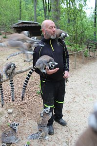 Besuch im Affenpark in Strau&szlig;berg (Th&uuml;ringen)