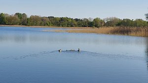 M&ouml;ssensee im Mecklenburg-Vorpommern