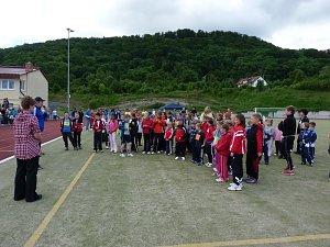 Mini-WM-2010
