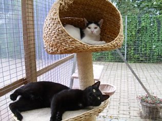 Bild: Hexe und Gro&szlig;er (schwarz)