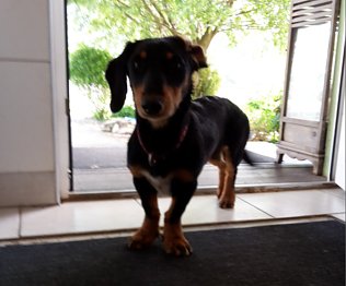 Bild: Josy