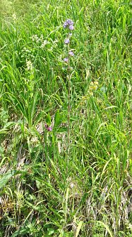 Nur verbale Ank&uuml;ndigungen? (Foto: B. Schwarzberg)