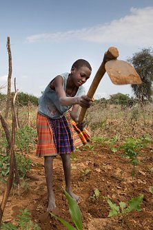 Uganda (Foto: Hartmut Schwarz/Misereor)