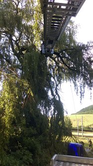 Herabst&uuml;rzende &Auml;ste (Foto: Feuerwehr Heiligenstadt)