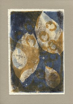 Walnuss (Foto: Kristina Bauer)