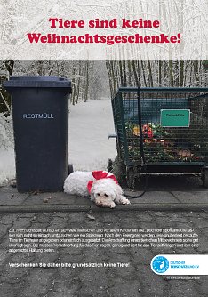 Tiere sind keine Geschenke (Foto: Deutscher Tierschutzbund e.V.)