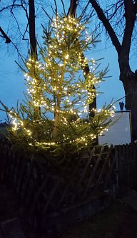 Weihnachtsbaum in Sophienhof (Foto: W. J&ouml;rgens)