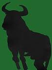 Bild: stier