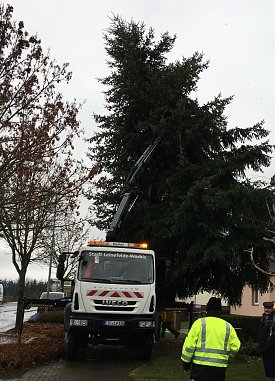 Bild: Weihnachtsbaum aus Worbis
