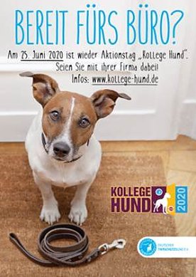 Bild: Aktionstag Kollege Hund