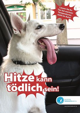 Bild: Tiere sch&uuml;tzen