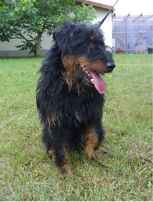 Flummy (Foto: C. Knust)