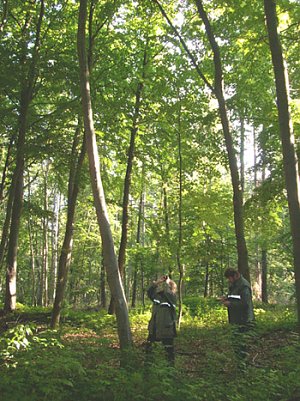 Waldzustandserhebung (Foto: Karl-Heinz Herrmann)