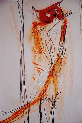 Jahr der Katze (Foto: Mackensen)