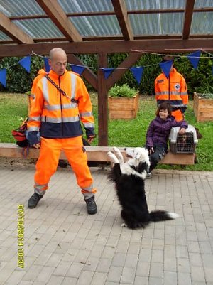 Rettungshundestaffel (Foto: Markus Janitzki)