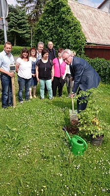 Baum gepflanzt (Foto: Anja Marschhause)